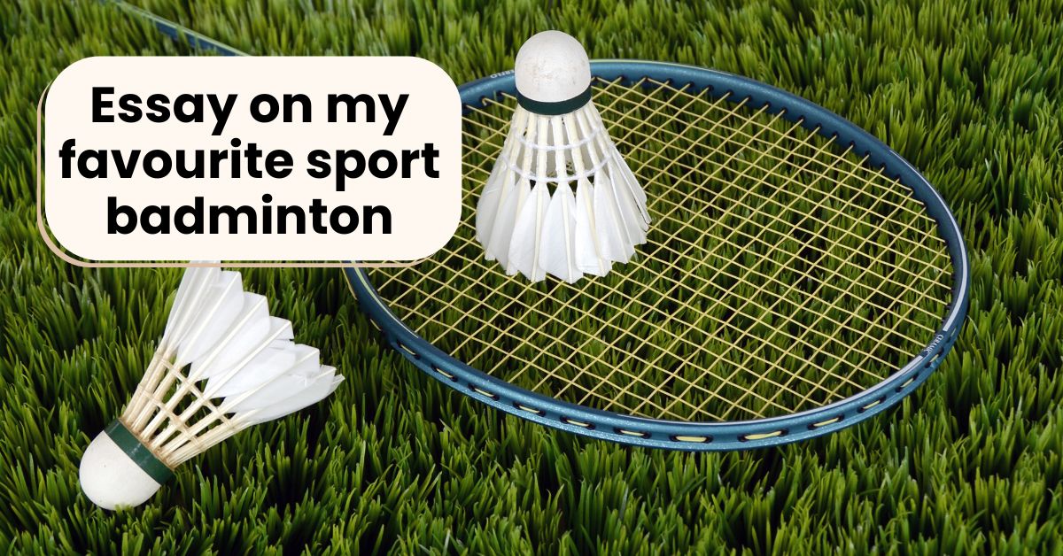 Essay on my favourite sport badminton