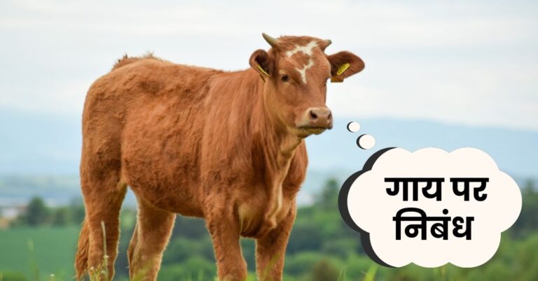 Essay on Cow in hindi