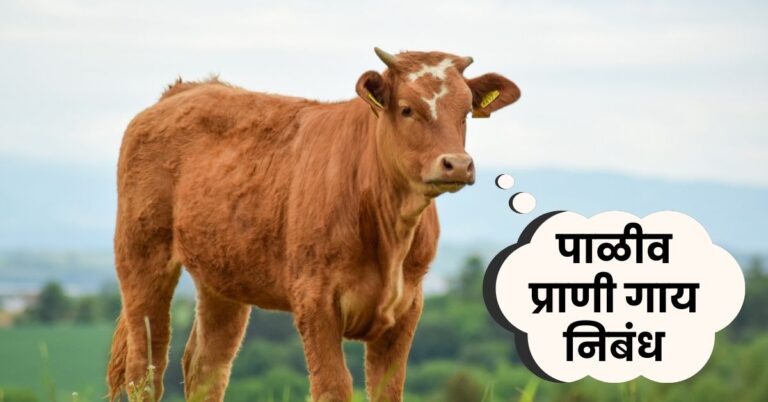 Essay on Cow in marathi