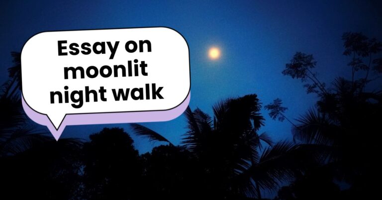 Essay on moonlit night walk