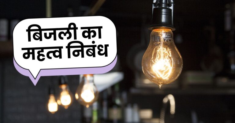 Importance of electricity essay in Hindi