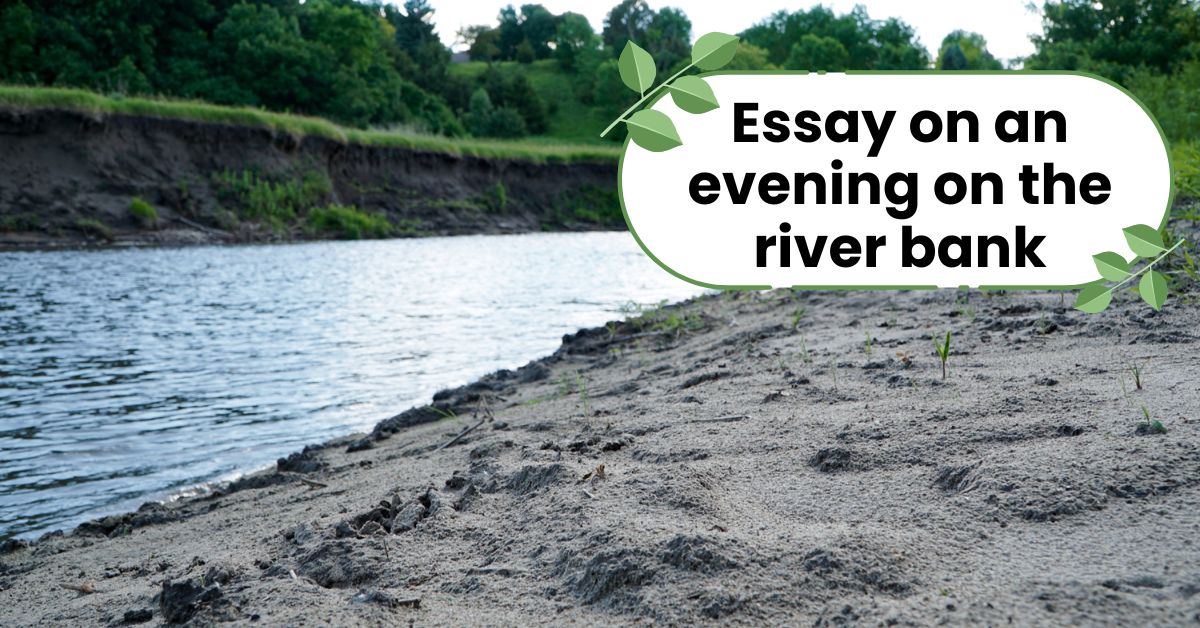 Essay on an evening on the river bank