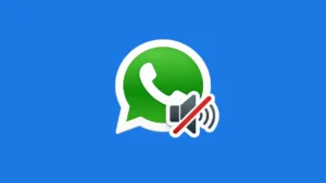 How to Silence a WhatsApp Contact Without Blocking Them
